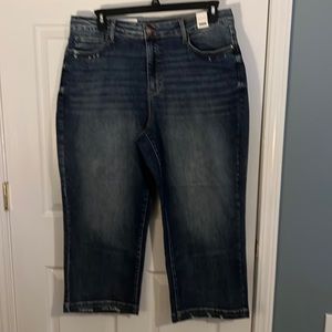 Judy Blue wide leg crop nwt 20w